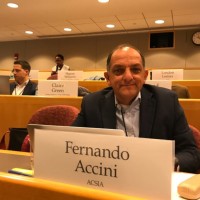 fernando accini