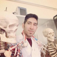 Hasan Abhari