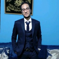 Youssef Hossam F.M.V.A Holder, Cfa L1 Candidate