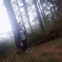 ali--h-p- Haghparast