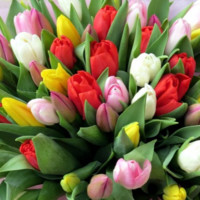 Юлия Юлечка