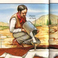 Hüsnü Hsn