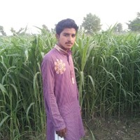 Sajid Jutt
