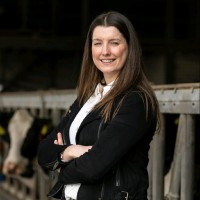 Yvonne Van Santvoort - Daandels