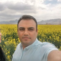 Mohamad Reza Torabi