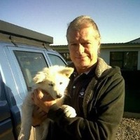 paul davies