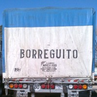 Marcelo Borrego