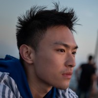 Lingchen Yang