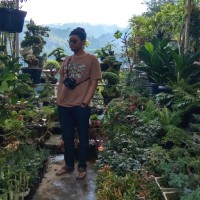 Fandi Setiadi