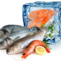 Seafood Fish