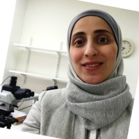 Niveen Abdullah