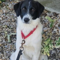 Tamara Gerl