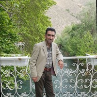 Amin Rezaei