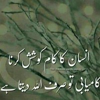 Qamar Zaman