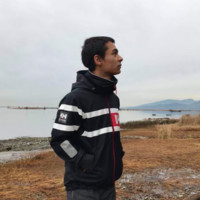 David Martin