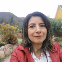 Constanza Ramírez