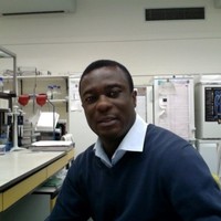 David Darko Obiri