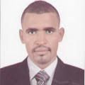 Anas Mohamed Hamad Elfaki