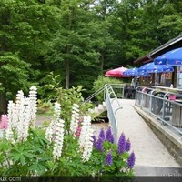 Jean-Jacques Servais