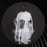 Olatobi L. N. AYECORO