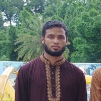 Mujammel Hoque