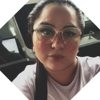 Lissette johanna Castro castro