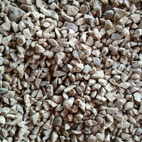 Domenico  Gaetano Alampi