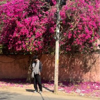Abhishek Bisht