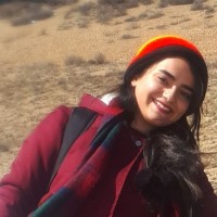 Parisa Heidari