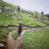 Abneesh Pathania