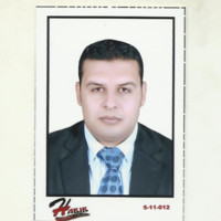 Wael Talat