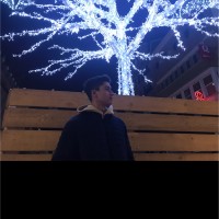 Anas Medkour