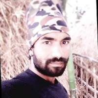 Hasar Ali