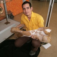 Gerardo Guillen Poleo