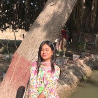 Noor-ul-ain Zainab Siddiqui