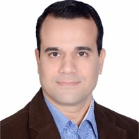 Medhat Elsayed