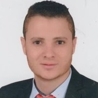 Waleed Arfa