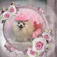 Joy Nadel Rescue Me Corporation {Incorporated}