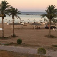 Rania Gerges
