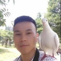 陈万梁