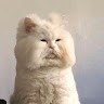 장해수