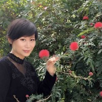 刘文莉