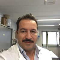 simone Simonezecchini2006