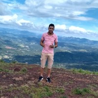Bremer Marques