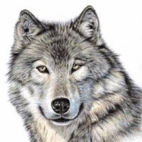 Charles Powell, Business & Life Coach