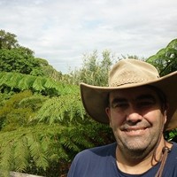 Michael Berghuis