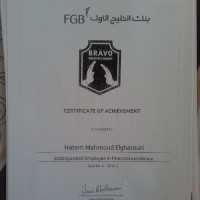 Hatem Elgharouri