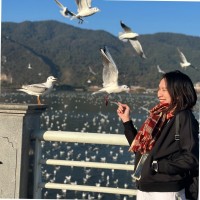 Thanh Ha Tran