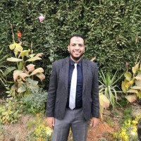 Ahmed Rabea, Mba