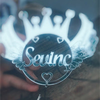 Sevinç Ertürkmen
